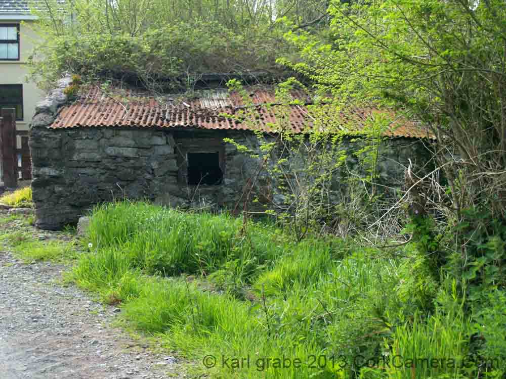 KG110875