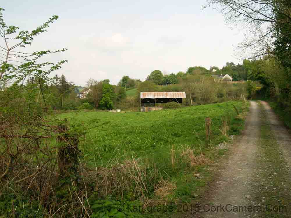 KG110878