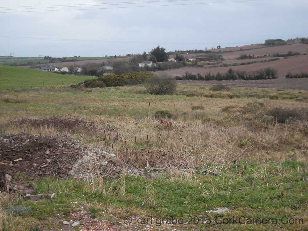 SDC10929